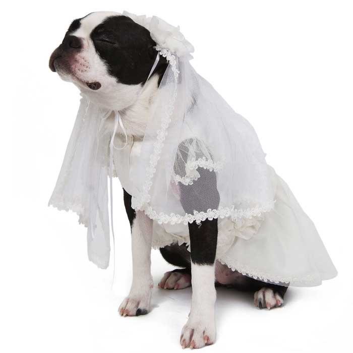 Платье свадебное с фатой / белое PA-OR 016